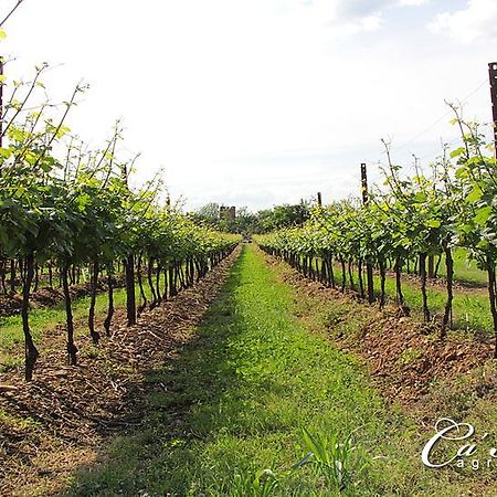 Agriturismo Ca'Mattei Pescantina Ngoại thất bức ảnh