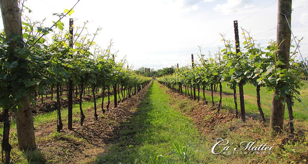 Agriturismo Ca'Mattei Pescantina Ngoại thất bức ảnh