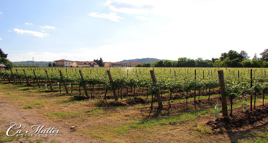 Agriturismo Ca'Mattei Pescantina Ngoại thất bức ảnh