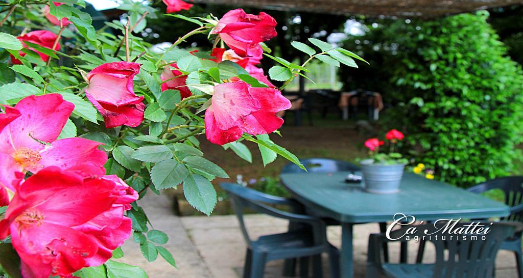 Agriturismo Ca'Mattei Pescantina Ngoại thất bức ảnh